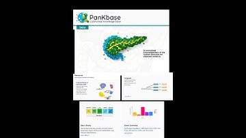 HIRN Webinar: PanKbase: A Centralized Knowledge Base of the Human Pancreas for Diabetes Research