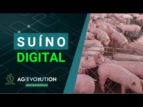 Softwares, automação de granjas e produtividade | Boletim AgEvolution
