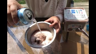 stem experiment 10: solids, liquids, and gases  Making your own rootbeer float