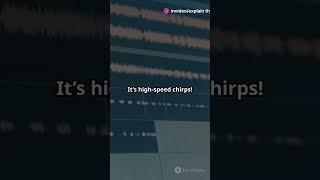 How Ggwave Powers Gibberlink Ais Superfast Sound Protocol