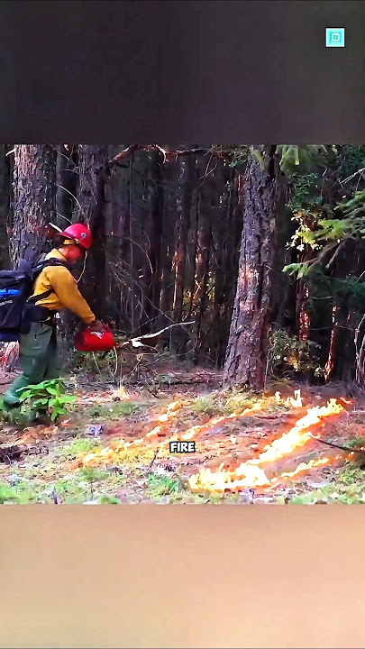Why are this firefighter starting this fire on purpose? #mindblowingfacts #shortvideo #shorts