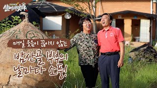 (살어리랏다3) 부여 밤산골 부부의 소풍같은 인생, 취미가 넘실넘실!! ktv, korea tv, chestnut, fishing (이석희&전옥화 부부, 충남 부여)