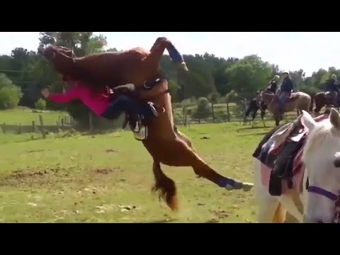 old-town-road-meme-compilation-🐴