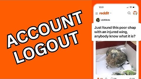 How to Logout Of Reddit Account 2025?