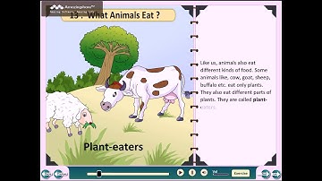 Class 2 EVS Chapter 13 What Animals Eat