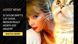 Is Taylor Swift’s Cat Olivia Benson Really Worth £62 Million?