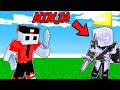 HO GIOCATO COME NINJA PER 24 ORE SU MINECRAFT
