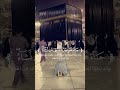 لا وصف لهذا الجمال القارئ عمر ضياء الدين