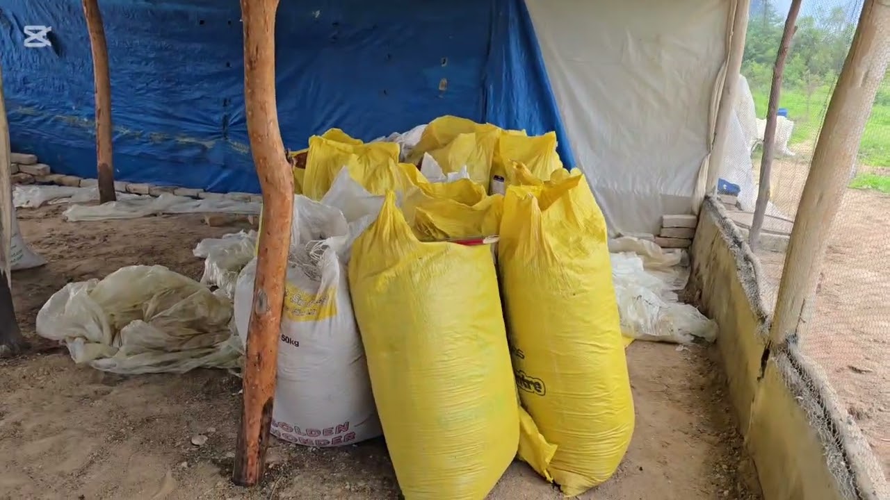 Chicken house extended