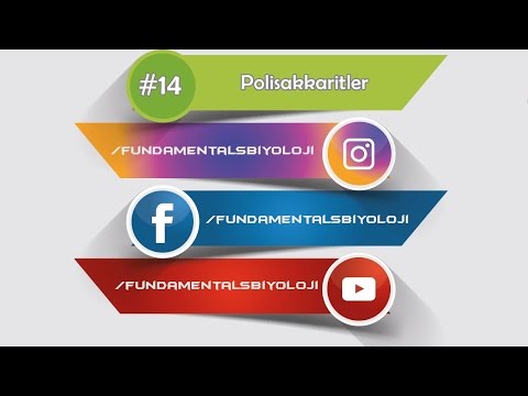 Video: Polisakkaritler Nerelerde Kullanılır?