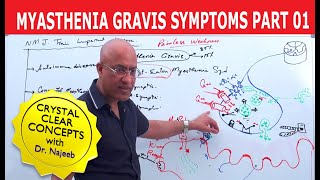 Myasthenia Gravis | Symptoms and Treatment | Part 1