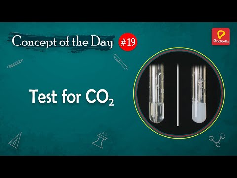 Test for Carbon Dioxide | Concept of the Day - 19