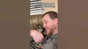 Do NOT slow this video DOWN 😱