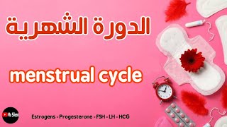 مراحل الدورة الشهرية يوم بيوم ❤️ وافضل وقت عشان الحمل 👌 menstrual cycle ❤️