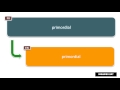 How to pronounce primordial