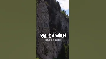 موكبا فاح اريجا 