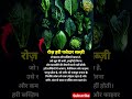 रोज़ हरी पत्तेदार सब्ज़ी