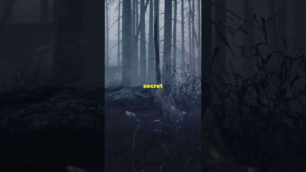 The Hidden Swastikas In The Trees: A Chilling Discovery