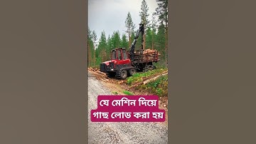Timber loading unloading #shorts #automobile #tractor
