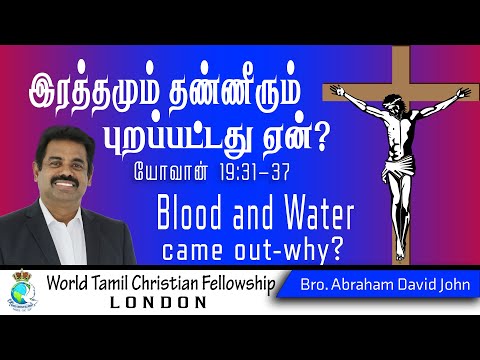 Why Blood and water came out? ? John19