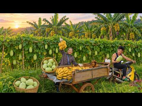 Harvest Giant Granadilla And Bananas Go To The Market Sell - Buy More Chicks To Raise - Weed Garden