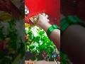 Her Her Sambhu Shibo Mohadev Sombhu ЁЯЩП New Shorts Video Her Her Sambhu Shibo Mohadev Sombhu ЁЯЩП New Shorts Video