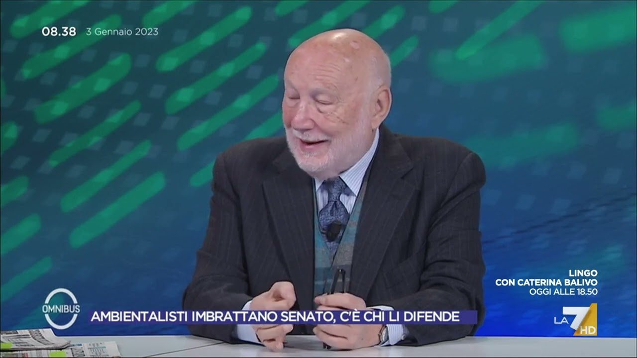 Ambientalismo, l'analisi sociologica di De Masi: 