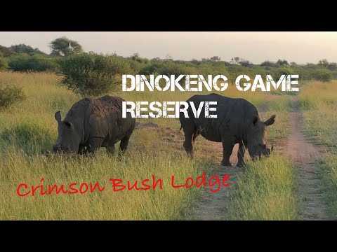 dinokeng reserve game