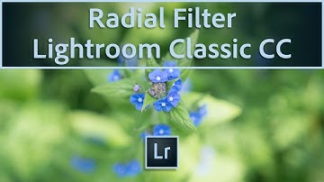 The Radial Filter in Lightroom Classic CC