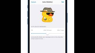 Celebrity Set up auto delete in Telegram|tech tips|telegram. Wealth