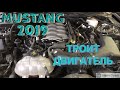 Mustang 2019 ТРОИТ ДВИГАТЕЛЬ