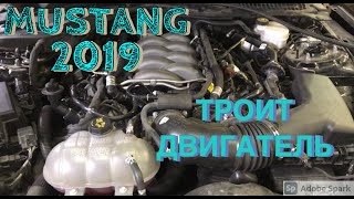 Mustang 2019 ТРОИТ ДВИГАТЕЛЬ