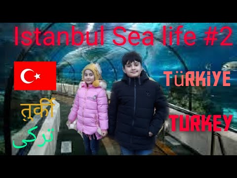 Istanbul sea life #2 | Turkey visit series #10 | Sea Life Aquarium Istanbul | Istanbul | Aquarium
