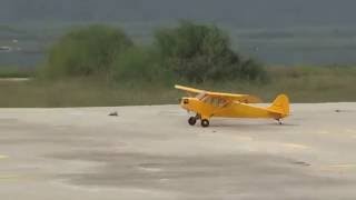 WORLD   PIPER J-3 CUB 104 1/4 with ASP 160 4st Twin engine