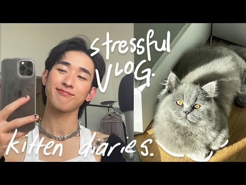 . | living <strong>alone</strong> <strong>with</strong> new kitten 🐱