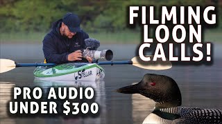 Symphony of the Lakes: The Loon Call | Pro Audio with Rode VideoMic Pro | Budget Wildlife Audio
