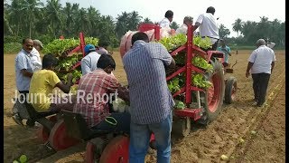 Tobacco, Mirchi Plantation Machine in Andhra Pradesh || Journalist Report