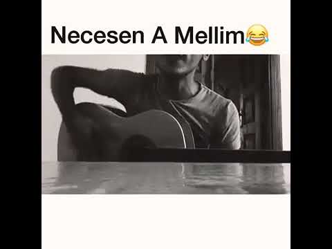 Necesen a Muellim