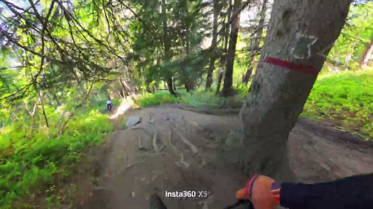 Shared Trail - Courmayeur Bike Area