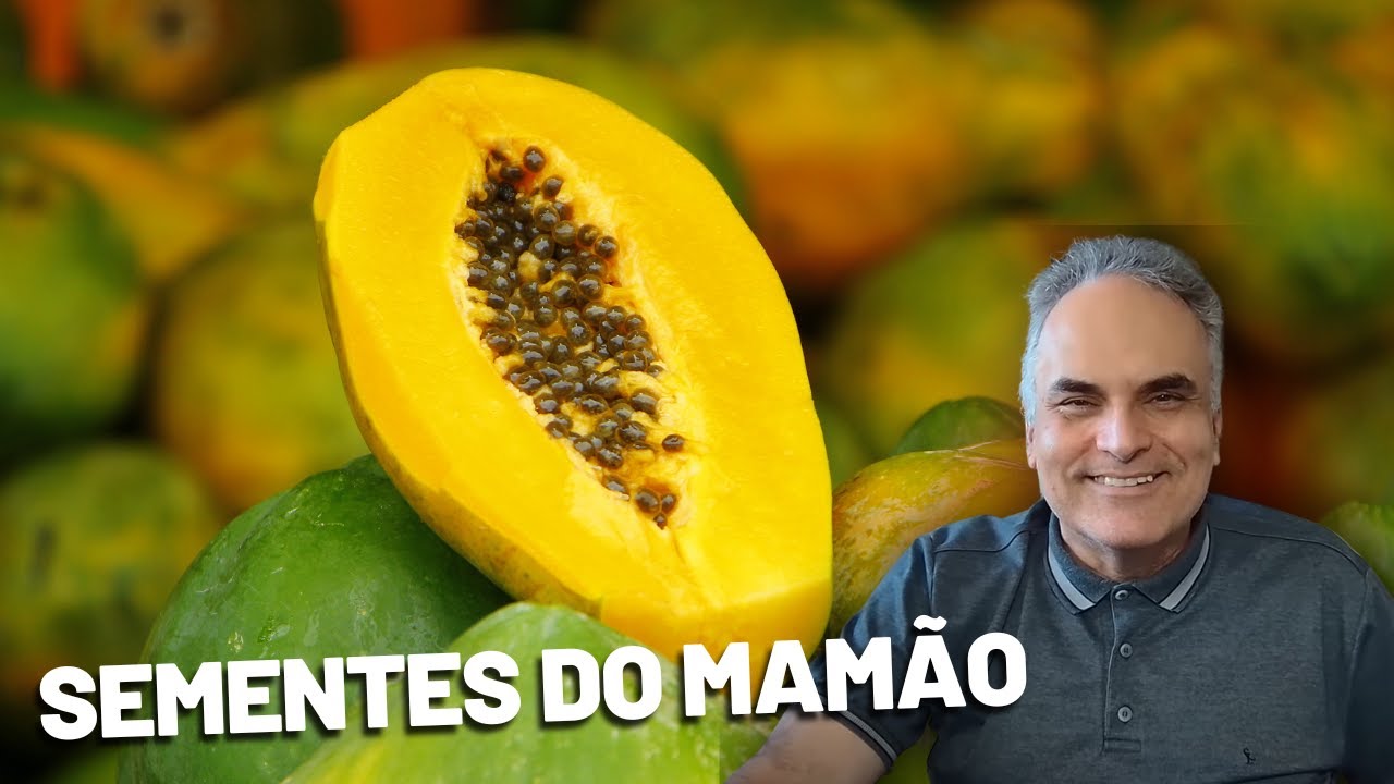 SEMENTE DE MAMÃO e os benefícios do seu consumo para a sua saúde | Dr. Marco Menelau SEMENTE DE MAMÃO e os benefícios do seu consumo para a sua saúde | Dr. Marco Menelau