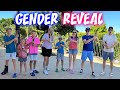 Huge gender reveal party