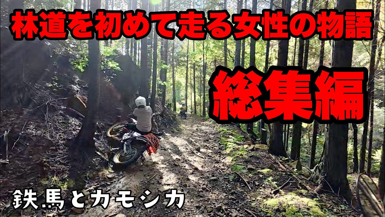 【総集編】今年の動画はこれでお終いです。皆様今年もありがとうございました！良いお年を