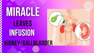 Miraculous Leaves Infusion for Kidney and Gallbladder stones| Likas Lunas|Mango Leaves Infusion