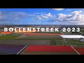 Bollenstreek flowerbulbs 2023   4k