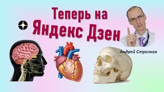 Приглашение в Яндекс Дзен