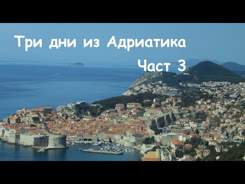 Видео: Пространствено изменение на рибните риби и относителното влияние на биотичните и абиотичните характеристики на местообитанията