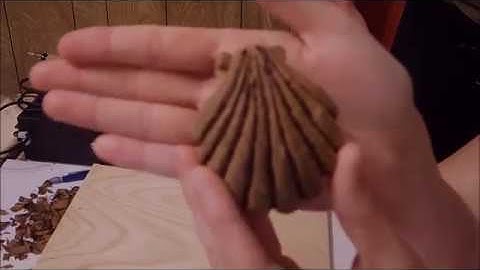 Carving a Seashell - Episode 1