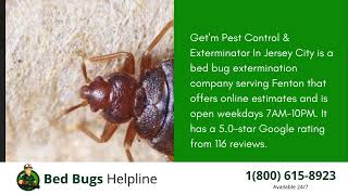 Top 3 Bed Bug Removal in Fenton