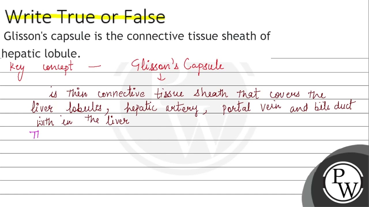 Glisson's capsule is the connective tissue sheath of hepatic lobule ...