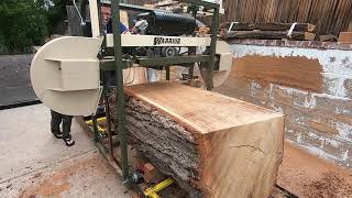 Hudson Warrior sawmill  slabbing a large elm tree